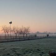 Huttenheim 08/03/2024