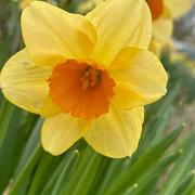 Coulommiers 11/03/2024