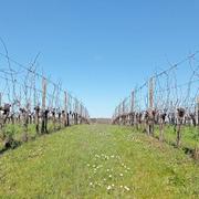 Saint-Aubin-de-Cadelech 11/03/2024