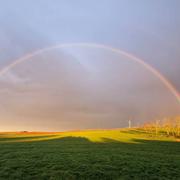 Zarbeling 15/03/2024