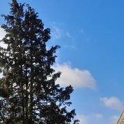 Ymonville 23/03/2024