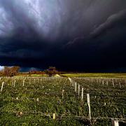 Saint-Estèphe 28/03/2024