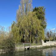 Courseulles-sur-Mer 29/03/2024