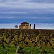 Saint-Estèphe 29/03/2024