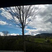 Las Carreras 30/03/2024