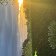 Petit-Palais-et-Cornemps 31/03/2024