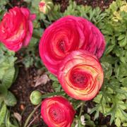 Offenbourg 31/03/2024