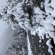 Cauterets 31/03/2024