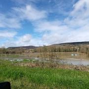 Sampigny-lès-Maranges 01/04/2024