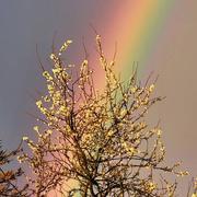 Roost-Warendin 02/04/2024