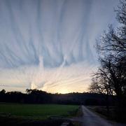 Logrian-Florian 08/04/2024