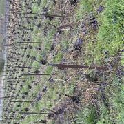 Fleury-la-Rivière 09/04/2024