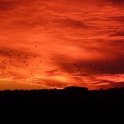 Blanzaguet-Saint-Cybard 17/09/2010