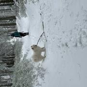 Le Lac-Blanc 18/04/2024