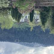 Dommartin-lès-Remiremont 22/04/2024