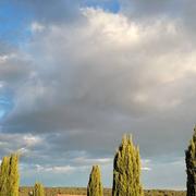 Saint-Gély-du-Fesc 22/04/2024