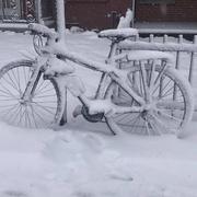 Montréal 23/04/2024