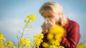 Pollen et allergies : en mai, c'est le règne des graminées