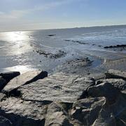 Noirmoutier-en-l'Île 26/04/2024