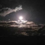 Saussemesnil 26/04/2024