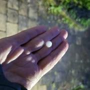 Bussy-Saint-Georges 01/05/2024