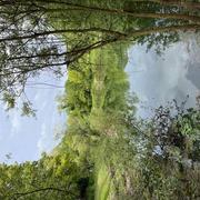 Vaux-sur-Mer 02/05/2024