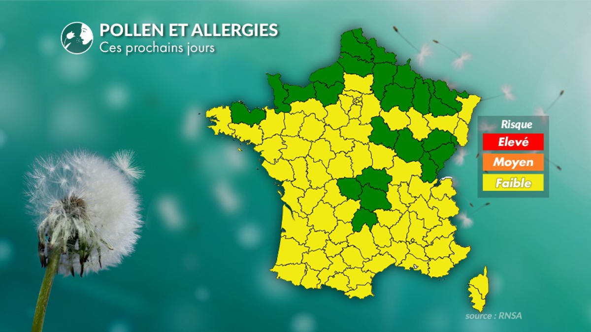 Pollen and allergies: The return of the sun will increase the risks associated with grass pollen
