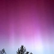 Sainte-Flaive-des-Loups 11/05/2024