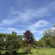 Dampierre-en-Burly 11/05/2024