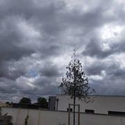 Fonsorbes 15/05/2024