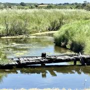 Brem-sur-Mer 16/05/2024