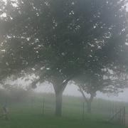 Saint-Benin-d'Azy 19/05/2024