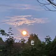 Guibeville 24/05/2024