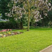 Vandœuvre-lès-Nancy 24/05/2024