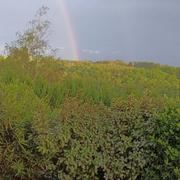 Montmiral 24/05/2024