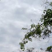 Saint-Siffret 25/05/2024