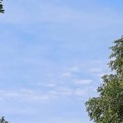 Saint-Siffret 26/05/2024