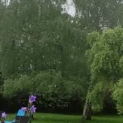 Chauvency-Saint-Hubert 29/05/2024