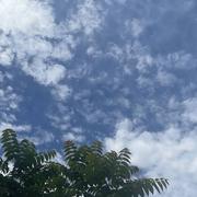 Beausoleil 30/05/2024