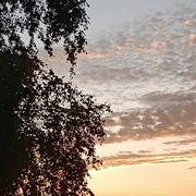 Prignac-et-Marcamps 03/06/2024