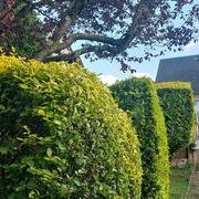 Le Monastère 03/06/2024