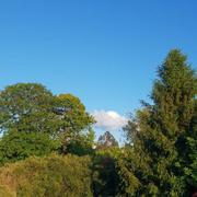 Le Cloître-Saint-Thégonnec 11/06/2024