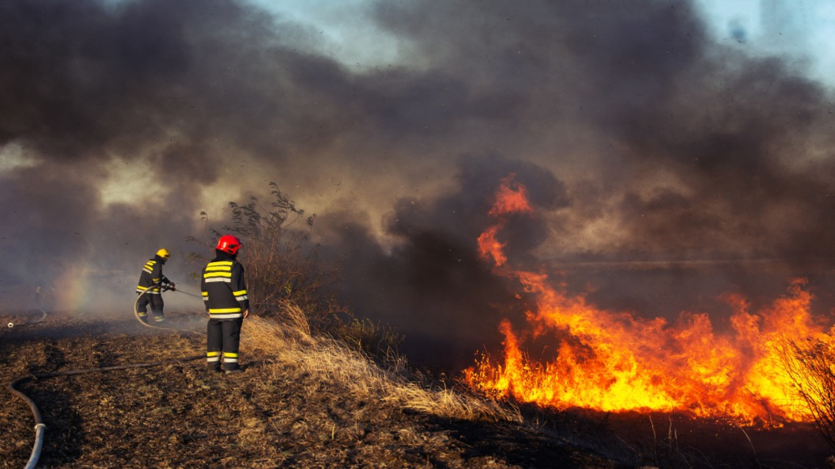 La saison des incendies débute en France : quels sont les risques cet été ?