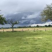 Le Bois-Hellain 14/06/2024