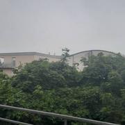 Plombières-lès-Dijon 15/06/2024