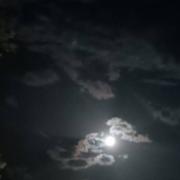 Lisle-sur-Tarn 19/06/2024