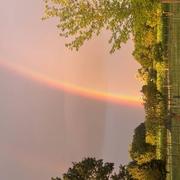 Petit-Palais-et-Cornemps 19/06/2024