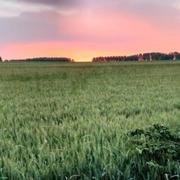 Wargnies-le-Petit 20/06/2024