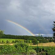 Mazerolles-le-Salin 21/06/2024