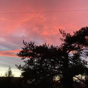 Laneuveville-devant-Nancy 27/06/2024